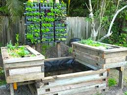 Vertical Garden Meets Aquaponics Milkwood Courses Skills For Real Life Backyard Aquaponics Aquaponic Gardening Aquaponics