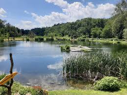 A great source of continuous protein, freshwater fish farms allow anyone to grow a different variety of fish that can be. Jeremiah S Bullfrog Fish Farm Eat My Fish Photos Facebook