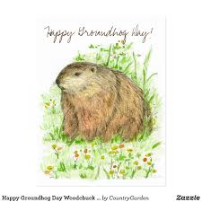 Happy Groundhog Day Woodchuck Animal Art Postcard Zazzle Com In 2020 Happy Groundhog Day Groundhog Day Card Art