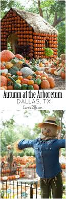 We did not find results for: Autumn At The Arboretum Dallas Arboretum Texas Adventure