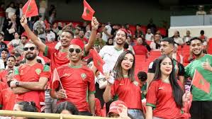 صدى البلد - News update
