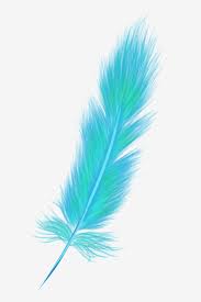 Colorful Peacock Feather Feather Clipart Beautiful Peacock Feather Png Transparent Clipart Image And Psd File For Free Download Plumas De Colores Patron De Pavo Real Fondos De Plumas