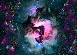 Check spelling or type a new query. Galaxy Wolf Wolf Images Wolf Wallpaper