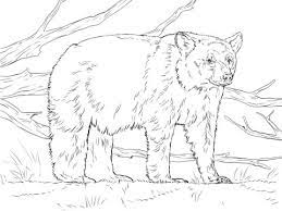 Choose a category of these color by number coloring pages to see all of it's coloring pages! Realistic American Black Bear Coloring Page Bear Coloring Pages Polar Bear Coloring Page Animal Coloring Pages