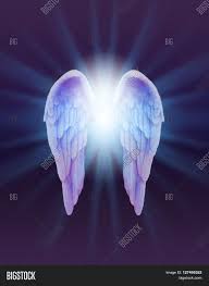 Download 476 angel wings png images with transparent background. Blue Lilac Angel Wings Image Photo Free Trial Bigstock