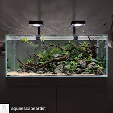 Aquarium On Instagram Reposted From Aquaescapeartist Wow Was Ein Aquascape Ich Bin Begeistert Susswasseraquarium Aquarien Aquarium Einrichten