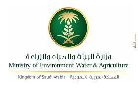 البيئة تدعو ملاك الخيل لعدم التنقل بخيولهم بالرياض 7 أيام In 2020 Environment Agriculture Saudi Arabia