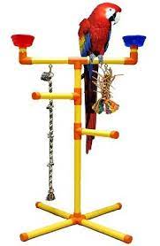 Large Floor T Perch Perches Playgyms Table Top Perches Stands Pvc Items Bird Toy Man Parrot Toys Swings Ladders Pa Parrot Toys Parrot Perch Bird Toys