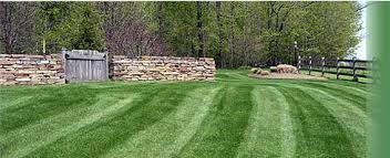 A granular insecticide that provides contact and residual control of outdoor insects on lawns and. Outdoor More Lawn Care Services