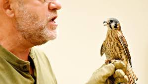 PHOTOS: Birds of Prey at Nixon Nature Center