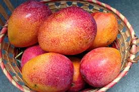 第一流约啪群 一秒钟约炮群 男女私房猛药 延时私房猛药 文字广告招租. å°ç£è¾²å ´ç›´é€ å±æ±æž‹å±±æ„›æ–‡èŠ'æžœ ä¸­æžœ 3å…¬æ–¤