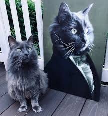 Pet paintings australia | commission a painting of your pet. This Company Can Turn A Pet Into A Royal Portrait And Here Are 30 Of The Best Ones Bored Panda