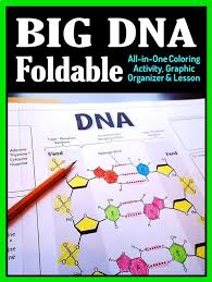 Gr 7 12 Get Students To Really Understand The Structure And Components Of Dna Using This Large Homeschool Life Science Biology Classroom Interactive Notebooks