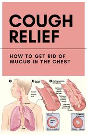 Cough Relief How To Get Rid Of Mucus In The Chest Womendiva Net Getting Rid Of Mucus Cough Relief Mucus Relief