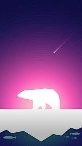 Google Bear Wallpaper Polar Bear Infographic Phone Wallpaper