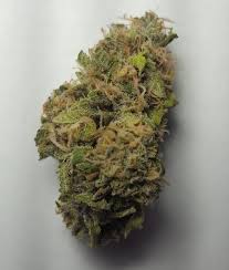 Gorilla cookies is one of the top 5 strains i've come across, it's loud af and knocks you down for a long time. Gorilla Cookies Cali Cannabis Express