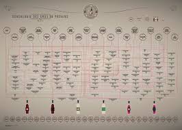 Wine Genealogy Chart On Behance