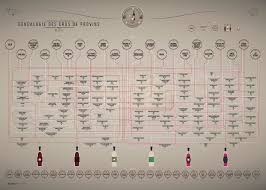 wine genealogy chart on behance