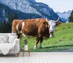 3d Forest Cow 129 Aj Wallpaper Cow 3d Wallpaper Mural Wallpaper