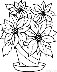 Maybe you would like to learn more about one of these? Poinsettia Coloring Pages Coloringall