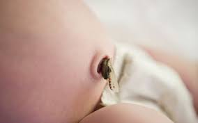 It provides the essential connection between the two. Umbilical Cord Care Guide For Newborns