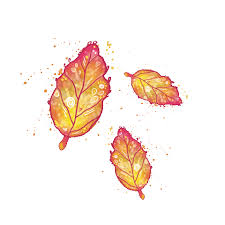 Free animated autumn leaves gifs clipart png download transparent cartoon free cliparts silhouettes netclipart. Fall Autumn Sticker By Gluck Ist For Ios Android Giphy