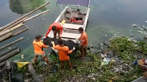 We did not find results for: Strange Fishes Drowning People Thread