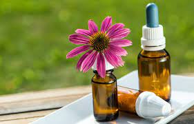 Su energía vibratoria nos recuerda quiénes somos y hasta dónde somos capaces de llegar. Flores De Bach Que Son Mira Todos Sus Beneficios Knowi