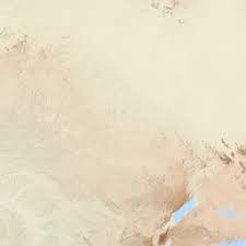 Image result for Athroisma gracile