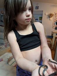 Tennessee snake identification and education page.