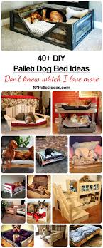 40 Diy Pallet Dog Bed Ideas Dont Know Which I Love More Jpg 750 1800 Pallet Dog Beds Pallet Diy Diy Pallet Bed