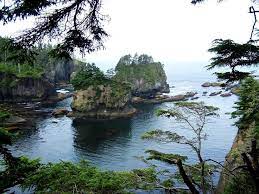 Cape Flattery Trail Washington Maps 155 Photos 136 Reviews Alltrails Road Trip Usa Washington Cape Flattery Washington