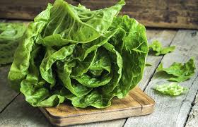 8 Receitas Com Almeirao Para Nao Errar No Preparo Dessa Verdura Almeirao Alface Receitas