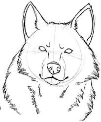 1001 Astuces D Artiste Pour Apprendre A Realiser Un Dessin De Loup Tete De Loup Dessin Comment Dessiner Un Loup Dessin De Loup