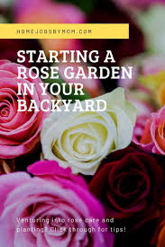 Starting A Rose Garden In Your Backyard Home Jobs By Mom Rose Care Backyard Nature Garden