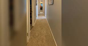Peel & stick assorted durable 24 in. 20 Year Old Carpet Update Project By Joa At Menards