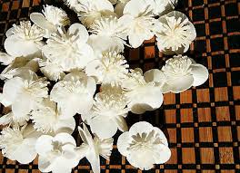 Sola wood flowers wholesale uk. 100 Orange Jasmine Sola Wood Diffuser Flowers 3 Cm Dia For Wholesale Ebay
