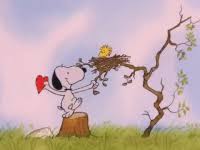 Alles gute zum geburtstag zitate. Snoopy Gifs Get The Best Gif On Gifer