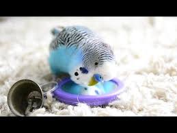 Pin On Linda S Personal Delights