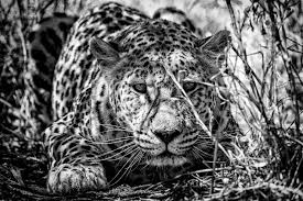 AJ Kruger (@ajnam89) • Instagram photos and videos