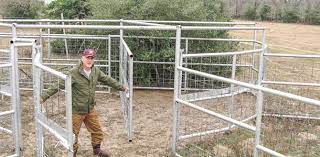 We did not find results for: One Man Corrals Reduce Labor Requirements Progressive Cattle