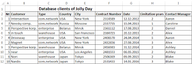 This is a blank excel sheet in which you can add or remove the complete database of your clients. Creating A Database In Excel For Customers With Examples And Templates