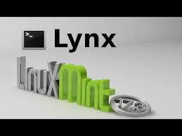 One advantage lynx has over graphical browsers is speed; Lynx A Text Mode Command Line Web Browser For Linux Mint Ubuntu Youtube
