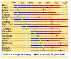 Best Time To Plant Veggies Smurf Pipe Innovativedistricts