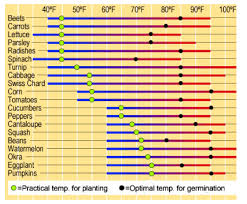 best time to plant veggies smurf pipe innovativedistricts