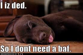 Letting your dog feel comfortable in the bathroom is a good way to lower his stress levels when it is time for the bath. Bath Funny Dog Quotes Quotesgram