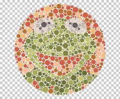 Ishihara Test Color Blindness Visual Perception Color Vision