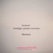Incitme Zambak