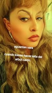 Leña Del Arbol Caido Tigres