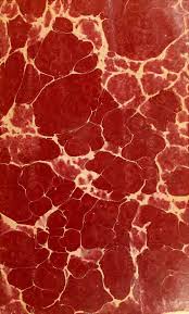 Records of the Dutch Reformed Church of Port Richmond, S.I., baptisms from  1696 to 1772; United Brethren Congregation, commonly